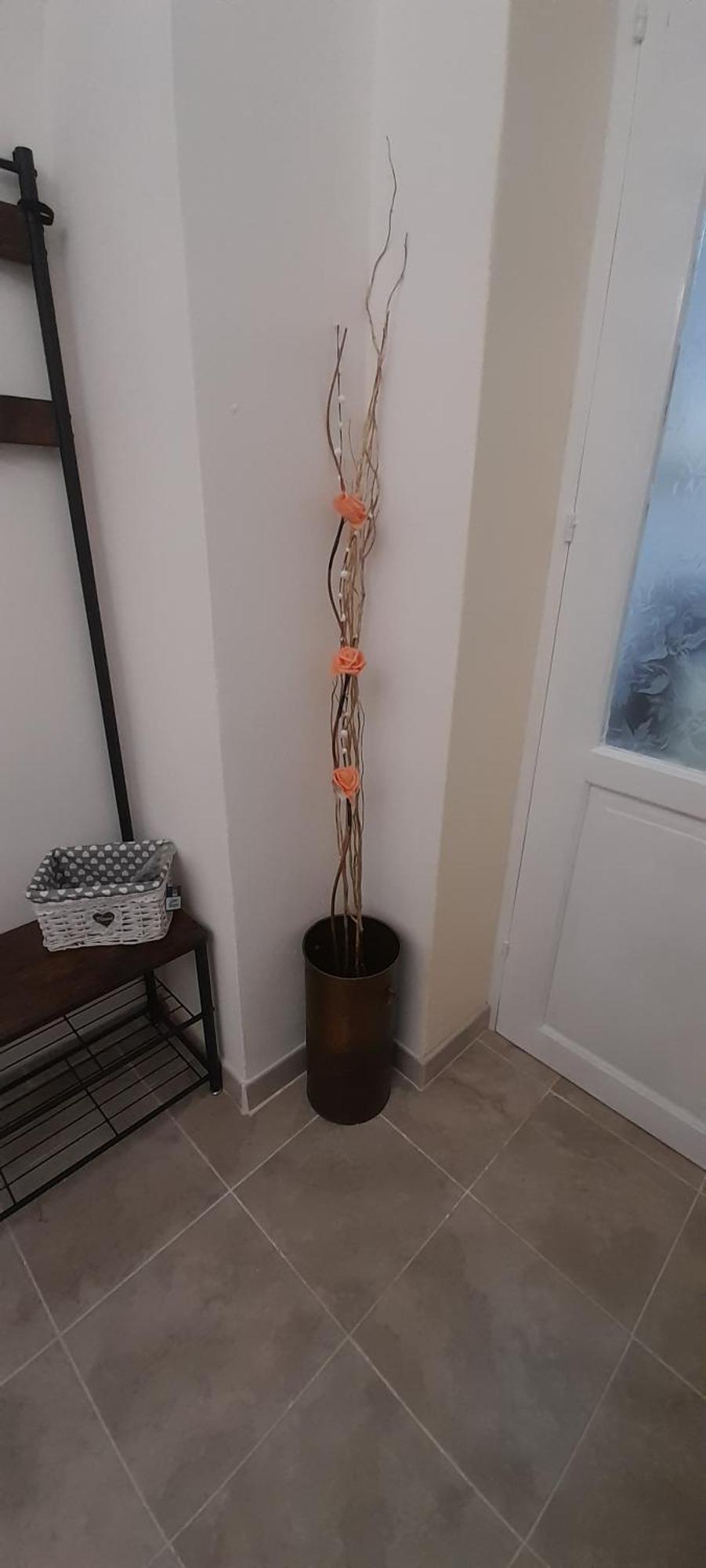 I Cappuccini B&B Сорсо Екстериор снимка